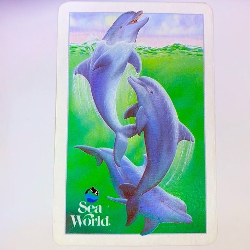 Baralho Temático Sea World Colecionável Anos 1994's
